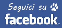 seguici su Facebook alla pagina Baubeach! Troverai tantissime foto! seguici su Facebook alla pagina Baubeach! Troverai tantissime foto!